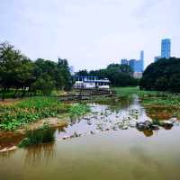 洪湖公園