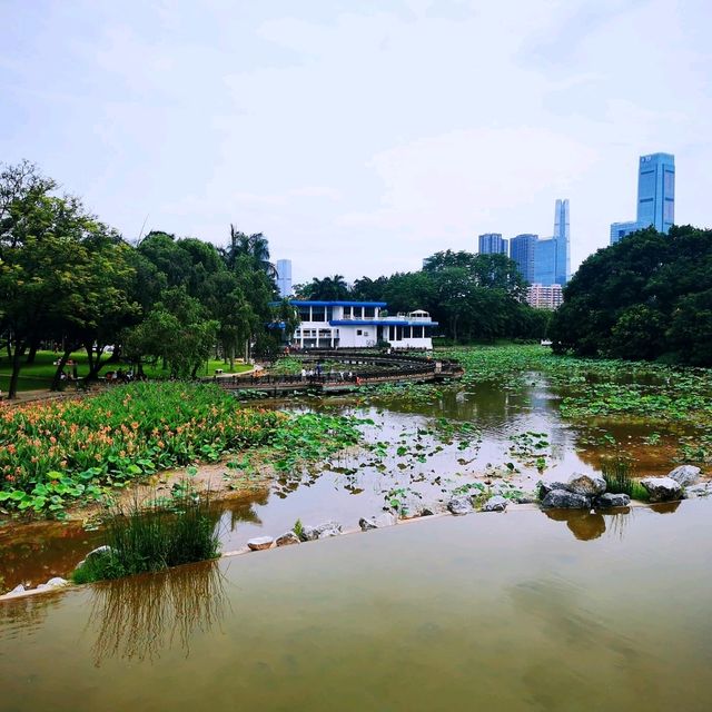 洪湖公園