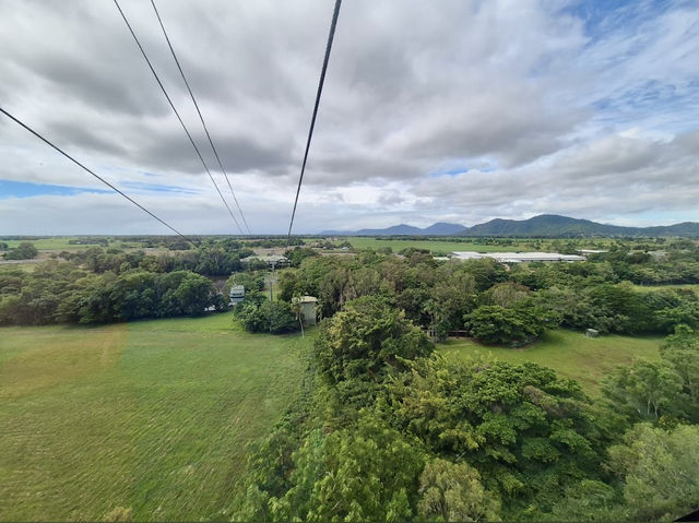 Skyrail Rainforest Cableway
