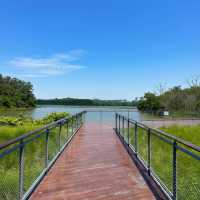 「星湖濕地公園」寧靜與美好