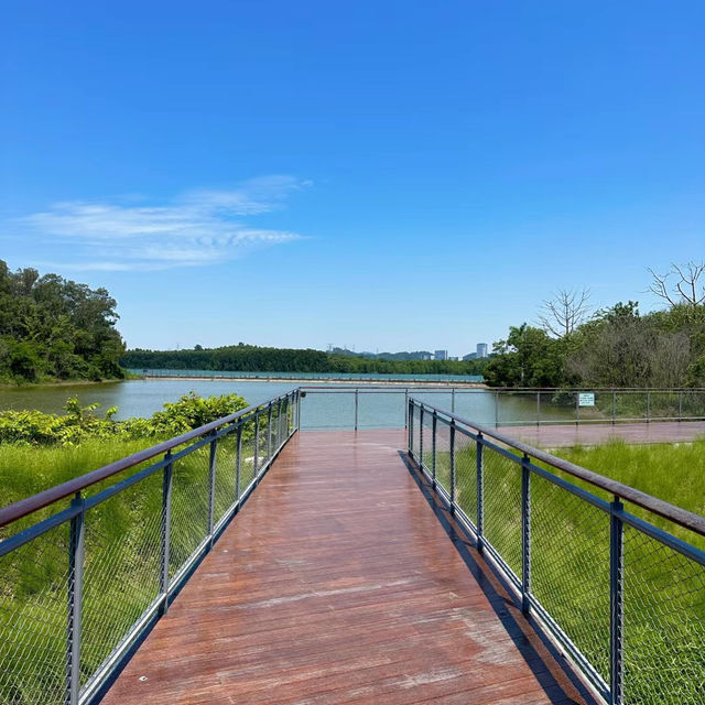 「星湖濕地公園」寧靜與美好