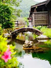 ShirakawaGO