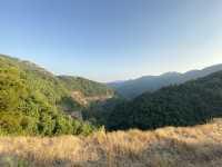 【春天打卡好去處】金山郊野公園：🙈馬騮山🐒上四大水塘，郊遊行山必去‼️