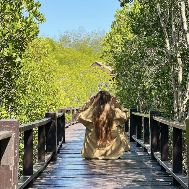 เที่ยววนอุทยานปราณบุรี ดูป่าชายเลน