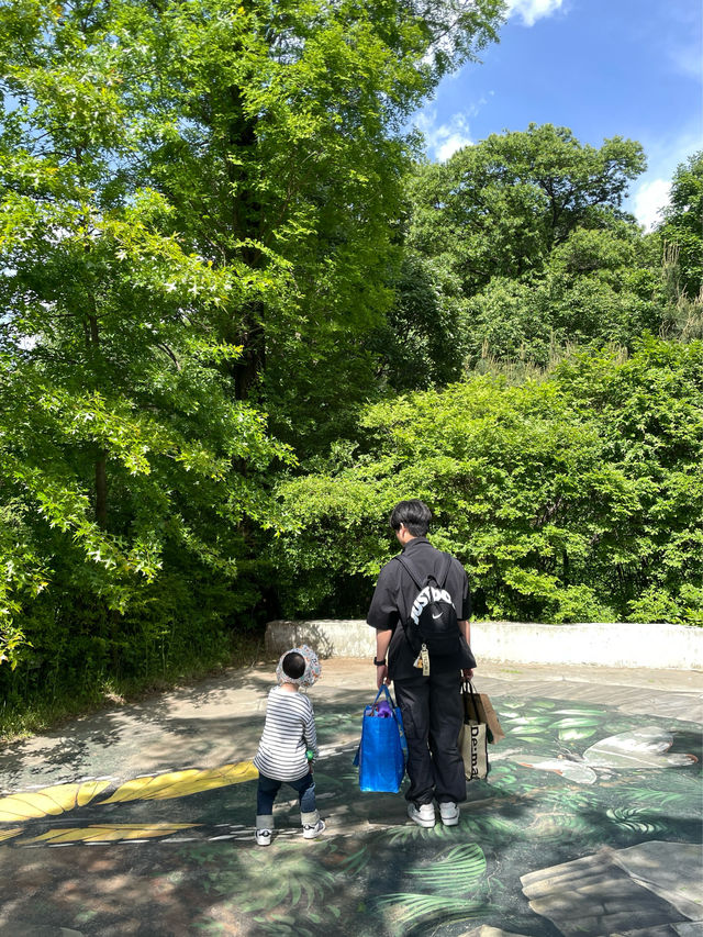 남자친구와 가족들과 데이트하기 좋은 곳 🌳
