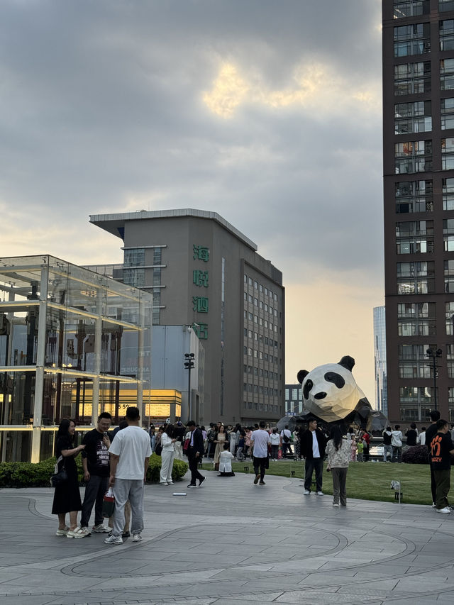 Chengdu🐼IFS 