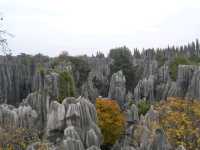 A magnificient stone forest formation, Shi-Lin Stone Forest