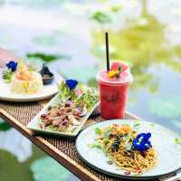 แจกพิกัด คาเฟ่ที่มีน้องช้าง สันกำแพง เชียงใหม่