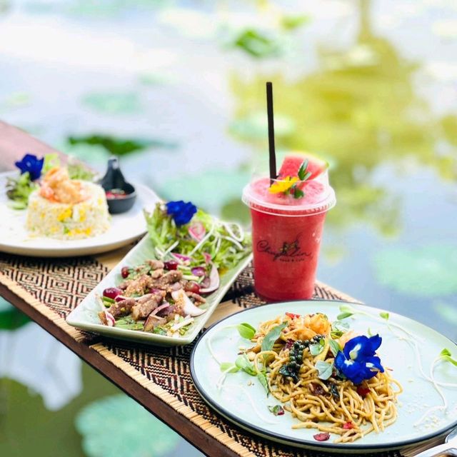 แจกพิกัด คาเฟ่ที่มีน้องช้าง สันกำแพง เชียงใหม่