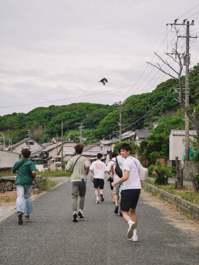 🇯🇵 福岡 絕對貓奴天堂！世界六大貓島之一 相島🐈🏝️