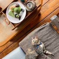 MORI NATURAL FARM | โฮมสเตย์สุดน่ารักสไตล์ญี่ปุ่น