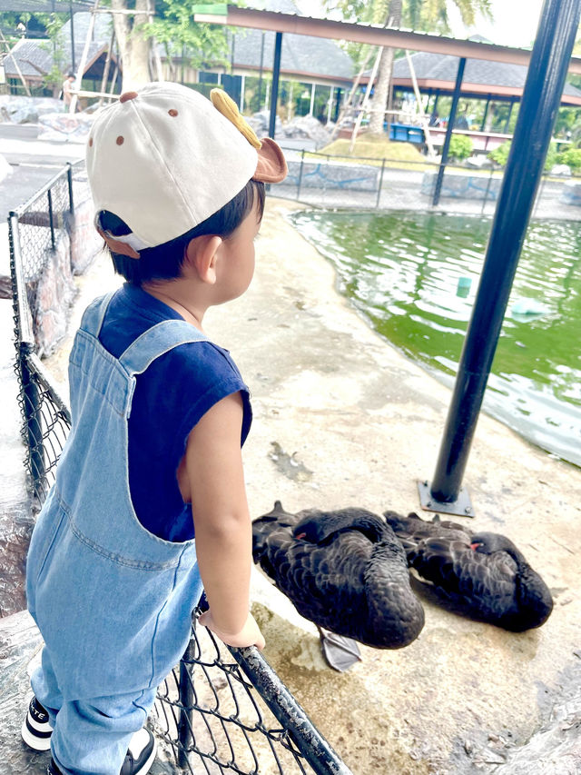 ตะลุยสวนสัตว์ Sriayuthaya Lion Park