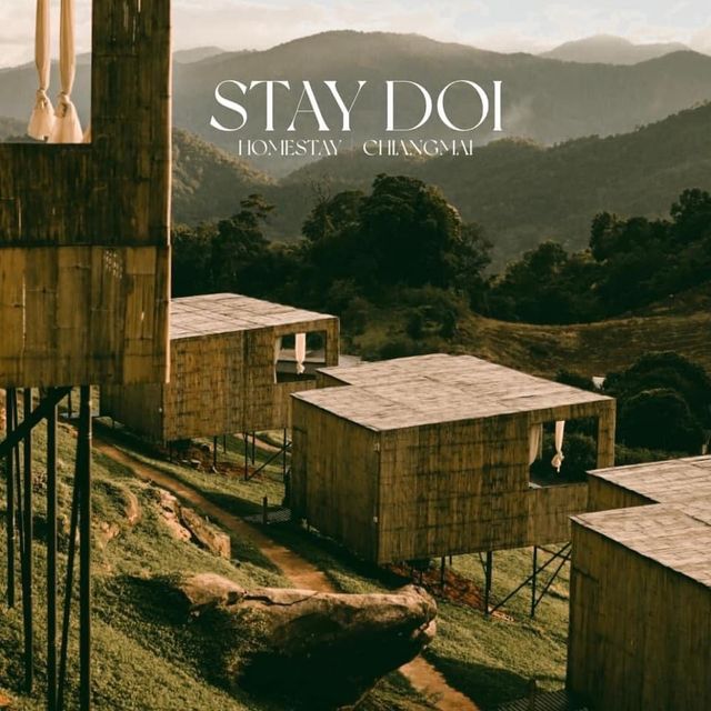 Stay Doi