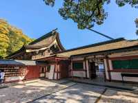 日本福岡-考生必來參拜的學問之神：太宰府天滿宮