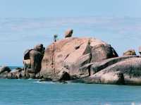 The Balding Bay