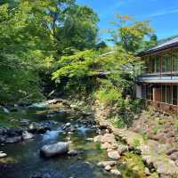 一本松川綠道：自然景觀與人文歷史的絕佳勝地