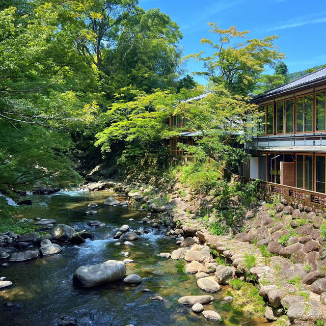 一本松川綠道：自然景觀與人文歷史的絕佳勝地