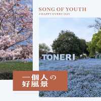 春天東京賞花勝地