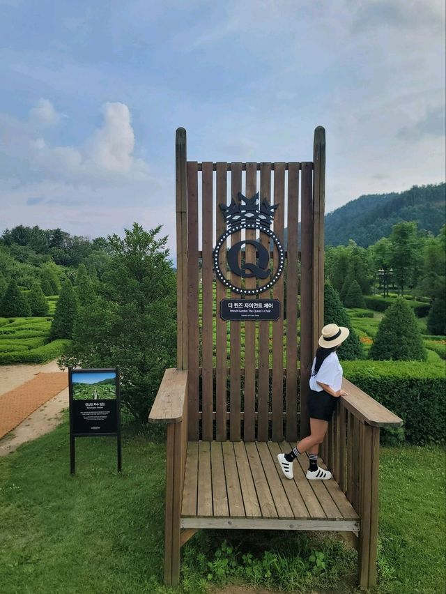 여름이라 더 예뻤던 켄싱턴프렌치가든💚