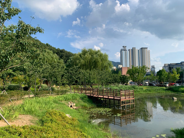 🌳 대구 대표 도시숲, 도심 속 자연의 힐링 스팟! 🌳
