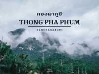 เที่ยวทองผาภูมิ ดูสายหมอกในฤดูฝน