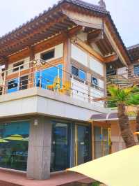 경주 드라이브 코스 바실라 카페