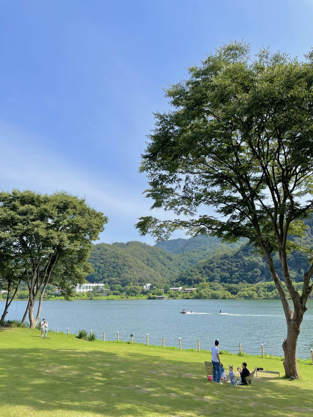 여기 마치 스위스? 경기 남양주 카페 나들이🌳