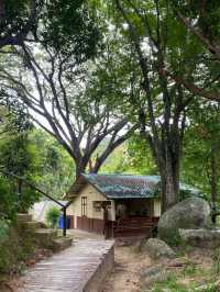 ฤดูฝนที่ดอยขุนตาล | ลำพูน 🏕️🌳🌦️🌿