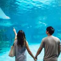 แจกแพลนเที่ยวบางแสน One Day Trip 
