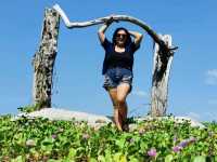 หาดไม้ขาว