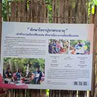 เดินทางแบบสายมู ‘บ้านฮอมผญ๋า’