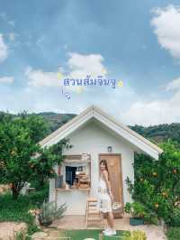 JINJU the orange farm สวนส้มเชียงใหม่ฟีลเกาหลี