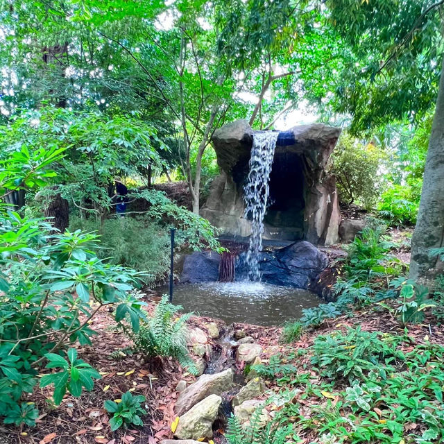 漫步綠蔭🌲 基督城植物園