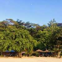 "Serene Beauty and Marine Wonders: A Review of Tenggol Island"