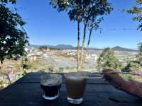 A Fairy Garden: Natureside Cafe Da Lat
