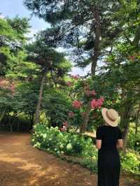 여름꽃 즐기며 산책하기좋은 장성 루몽드수목원💚