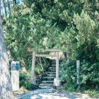 【裏手には海!?】美しすぎる森戸神社✨