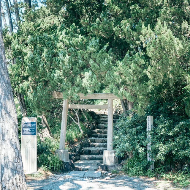 【裏手には海!?】美しすぎる森戸神社✨