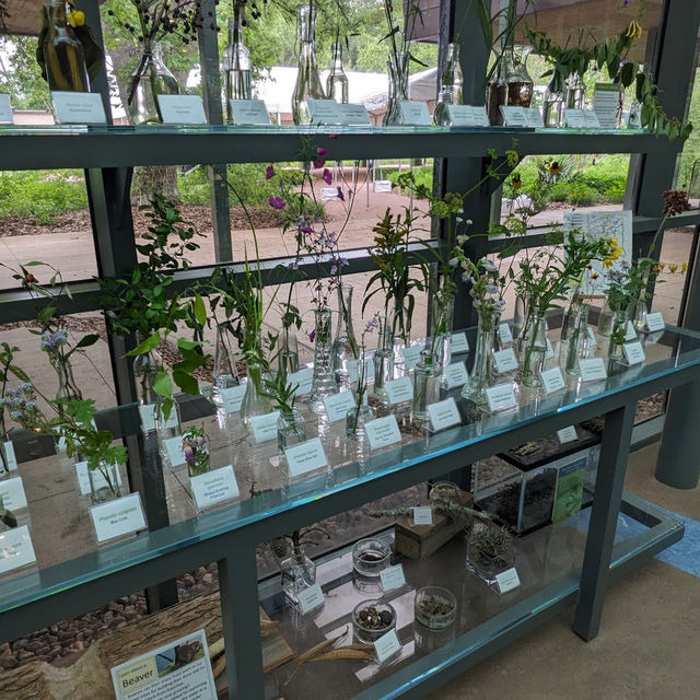 Houston Arboretum & Nature Center: A Natural Haven