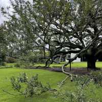 The Menil Collection: A Quiet Artistic Escape