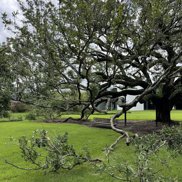 The Menil Collection: A Quiet Artistic Escape