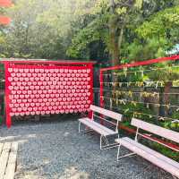 三光稻荷⛩️神社💦洗錢💴之旅