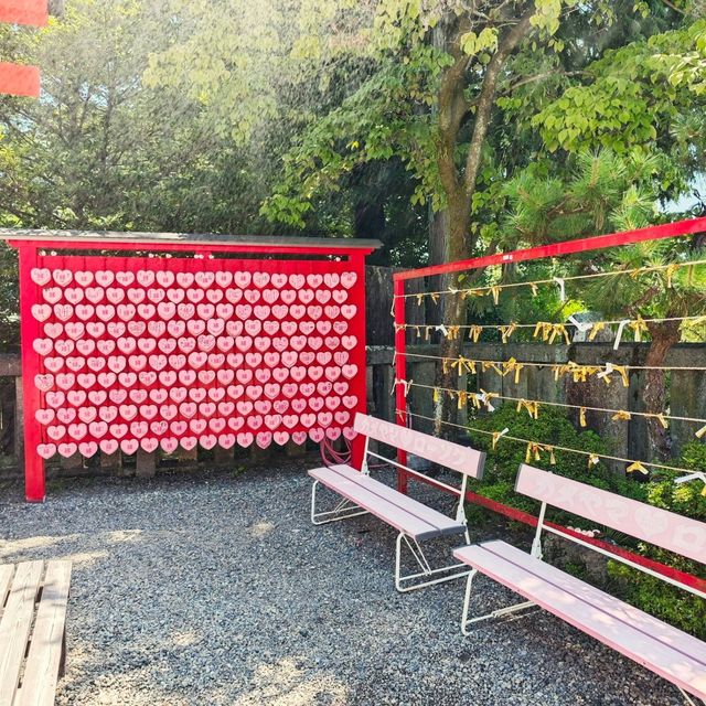 三光稻荷⛩️神社💦洗錢💴之旅
