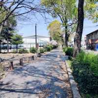 【日本美食文化】星鰻料理、咖啡與姬路城，一場令人難忘的旅程🌸
