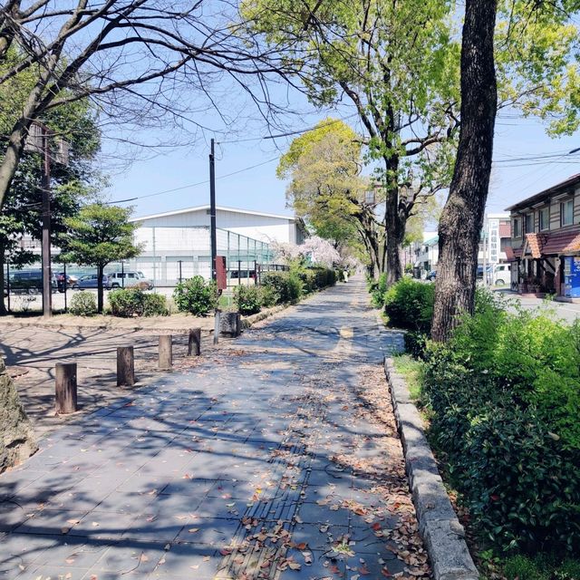 【日本美食文化】星鰻料理、咖啡與姬路城，一場令人難忘的旅程🌸