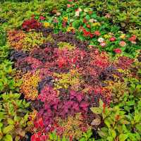 🇲🇾 Floral Wonders Await at Royal Floria Putrajaya
