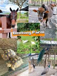A Fun Day of Animal Encounters at Bentong Farm