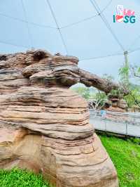 🇸🇬 Australian Outback