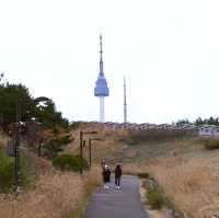 Namsan Park #seoul #southkorea 