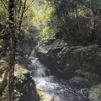 親川滝 - 鬱鬱蔥蔥